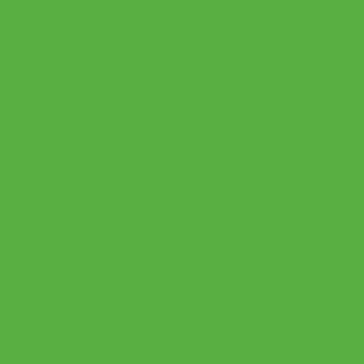 Oracal 063 Липово-зелёный